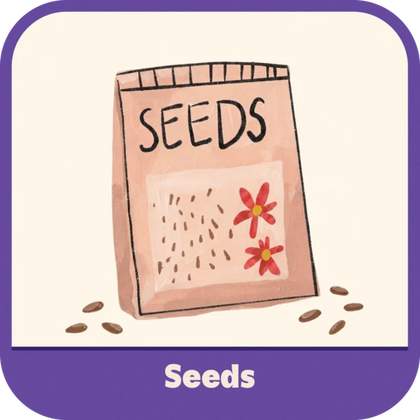 Seeds