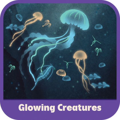 Glowing Creatures