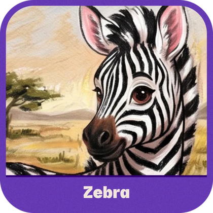Zebra